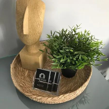 Artemis * Διακοφτό